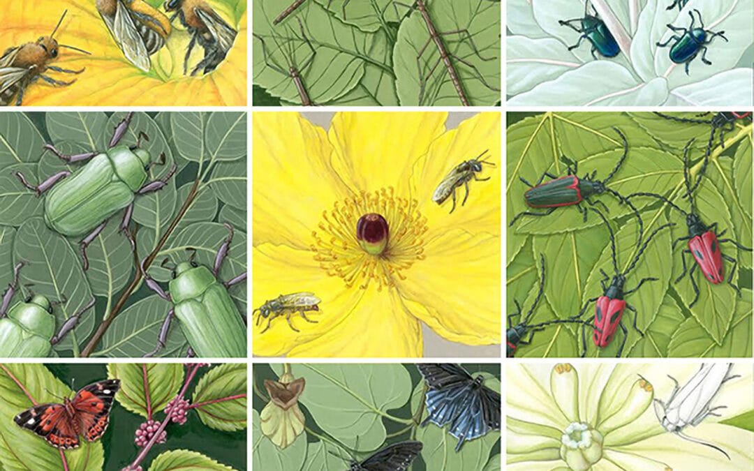 Insects and Host Plants