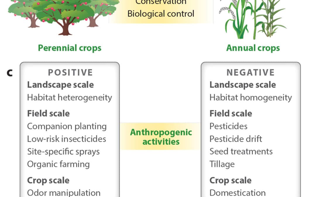 Integrated pest management