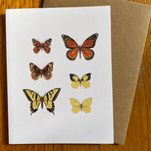 California Butterflies Notecard featuring six different California butterflies