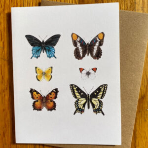 California Butterflies 2 Notecard with six different California butterflies