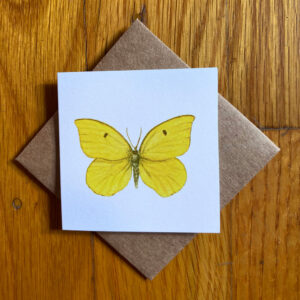 California Dogface Butterfly (female) Gift Enclosure Notecard featuring a yellow butterfly