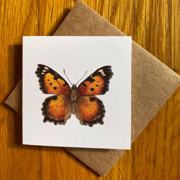 California Tortoiseshell Butterfly Gift Enclosure Notecard featuring an orange butterfly