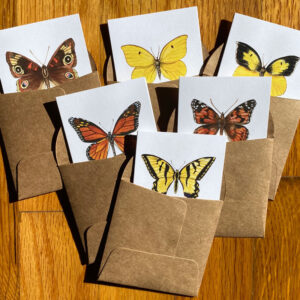 California Butterfly Notecards, featuring six different California butterflies