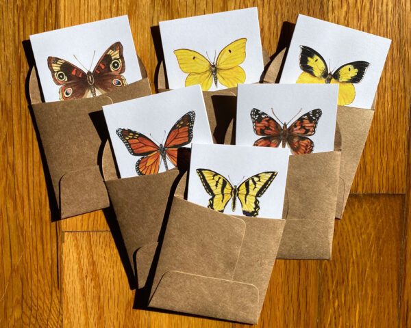 California Butterfly Notecards, featuring six different California butterflies