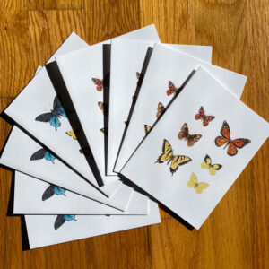California Butterflies Notecards