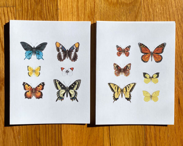 California Butterflies Notecards, two different designs showcasing a total of 12 butterflies