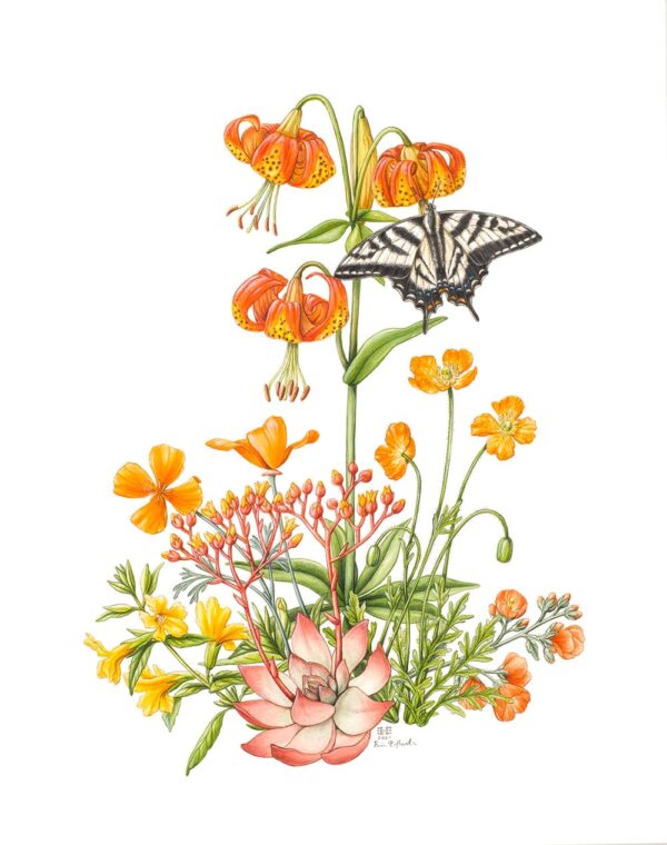 California Wildflowers in Orange Giclée Fine Art Print featuring multiple orange wildflowers and a white and black buttefly