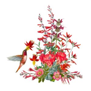 California Wildflowers in Red Giclée Fine Art Print featuring a collage of red wildflowers and a red bird