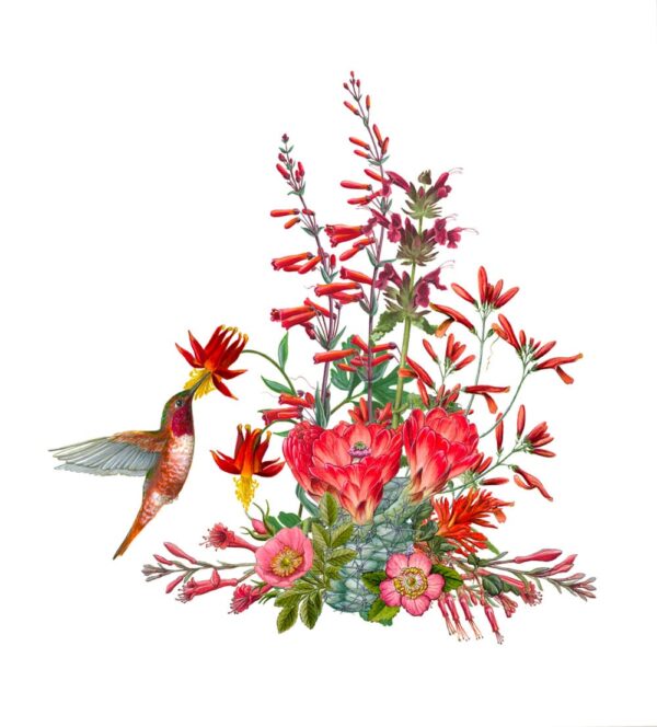 California Wildflowers in Red Giclée Fine Art Print featuring a collage of red wildflowers and a red bird