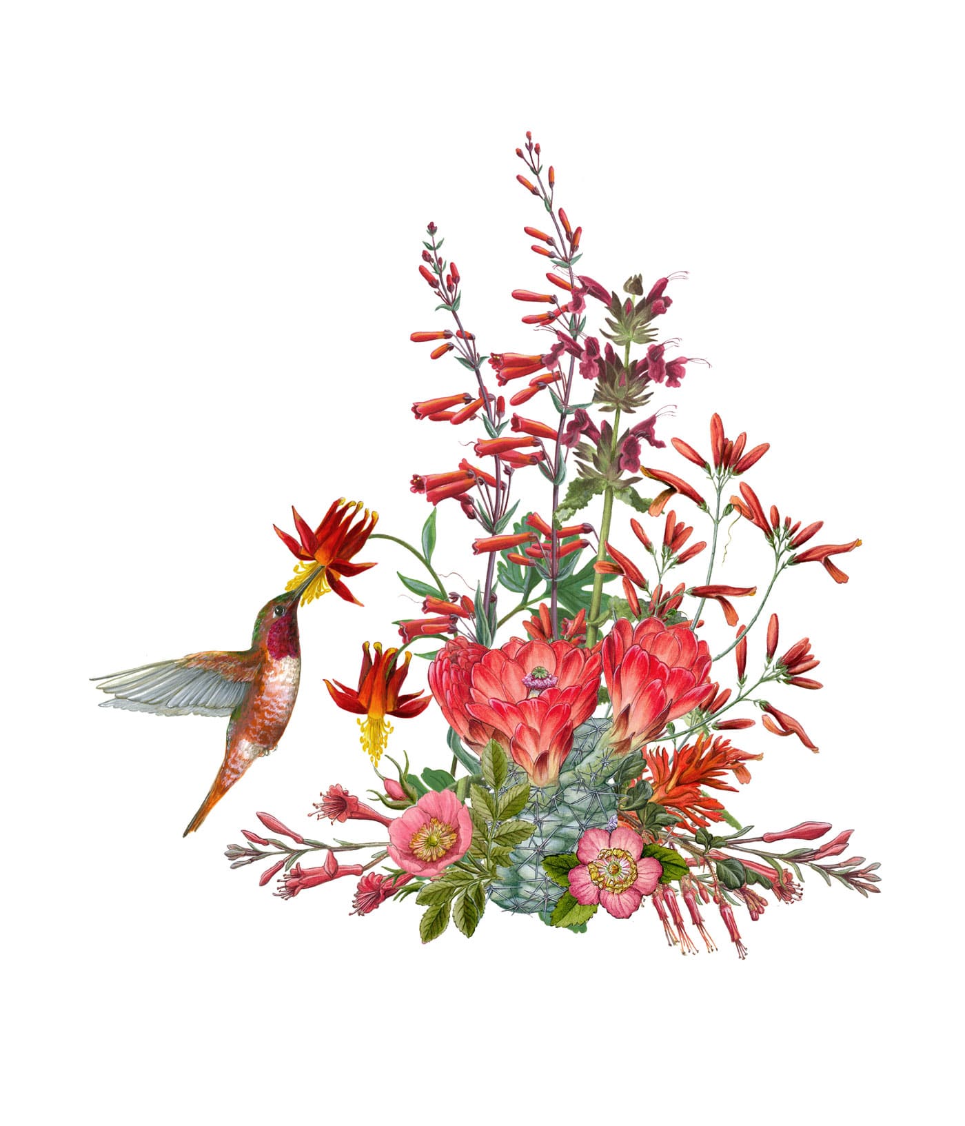 California Wildflowers in Red · Erin E. Hunter