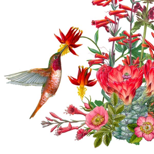 Zoomed in shot of California Wildflowers in Red Giclée Fine Art Print featuring a collage of red wildflowers and a red bird
