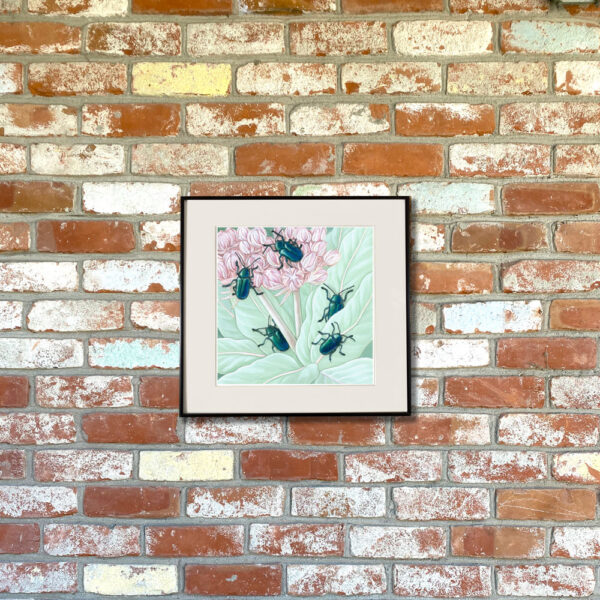 Cobalt Milkweed Beetle and California Milkweed Giclée Print featuring five shiny emerald beetles on greenery and pink flowers shown matted in a frame