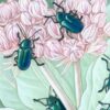 Zoomed in shot of Cobalt Milkweed Beetle and California Milkweed Giclée Print featuring five shiny emerald beetles on greenery and pink flowers