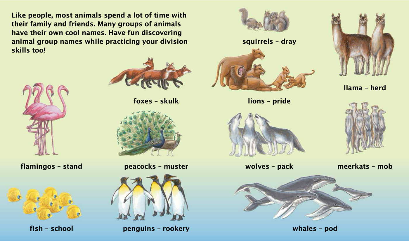 Introduction/animal group names · Erin E. Hunter