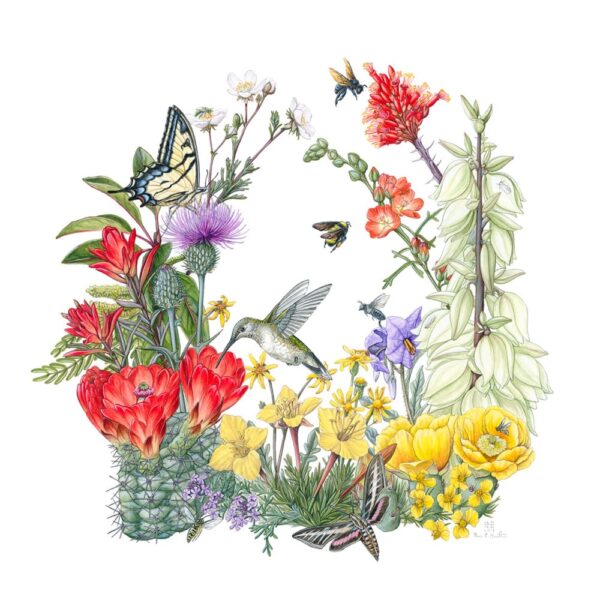 Guadalupe Mountains Insects & Wildflowers Fine Art Painting featuring a collage of many wildflowers in red, purple, and yellow along with various pollinators, like bees, butterflies, moths, and birds.