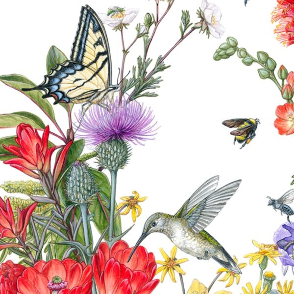 Zoomed in shot of Guadalupe Mountains Insects & Wildflowers Fine Art Painting featuring a collage of many wildflowers in red, purple, and yellow along with various pollinators, like bees, butterflies, moths, and birds.