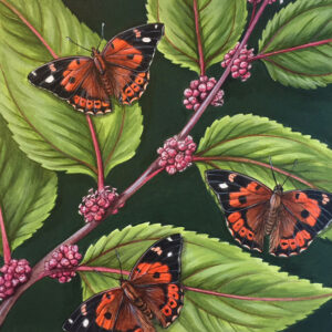Kamehameha Butterfly and Māmaki Giclée Fine Art Print featuring orange and black butterflies resting on greenery with pink berries
