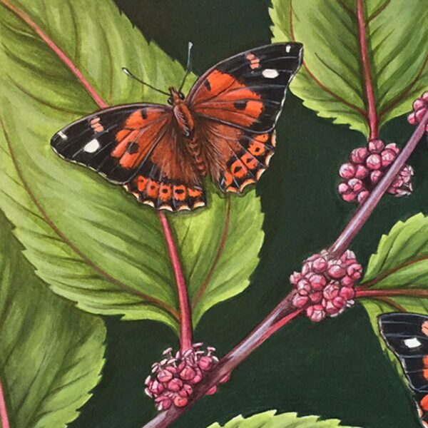 Zoomed in shot of Kamehameha Butterfly and Māmaki Giclée Fine Art Print featuring orange and black butterflies resting on greenery with pink berries