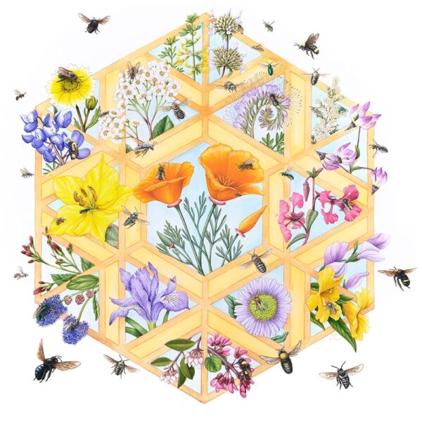 Look Closer Fine Art Giclée Print shown in a geometric hexagon, similar to a honeycomb, each section containing wildflowers and various bees flying around and throughout the composition