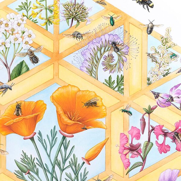 Zoomed in shot of Look Closer Fine Art Giclée Print shown in a geometric hexagon, similar to a honeycomb, each section containing wildflowers and various bees flying around and throughout the composition