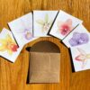 Orchid Notecards, featuring six different orchids