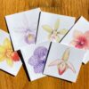 Orchid Notecards, featuring six different orchids