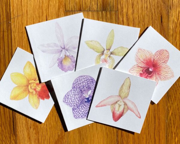 Orchid Notecards, featuring six different orchids