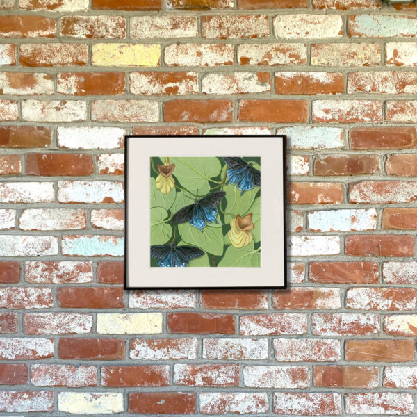 Pipevine Swallowtail and California Pipevine Giclée Fine Art Print featuring blue and black butterflies resting on greenery shown matted in a frame