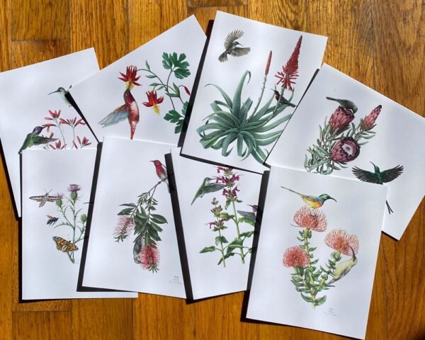 Pollinating Birds Notecards, with 8 different birds pollinating native plants