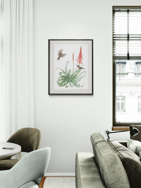 Scarlet-Chested Sunbirds and Torch Aloe Original - Image 3