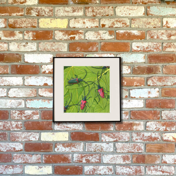 Valley Elderberry Longhorn Beetle and Blue Elderberry Giclée Fine Art Print featuring red and emerald green beetles with long antennas shown matted in a frame