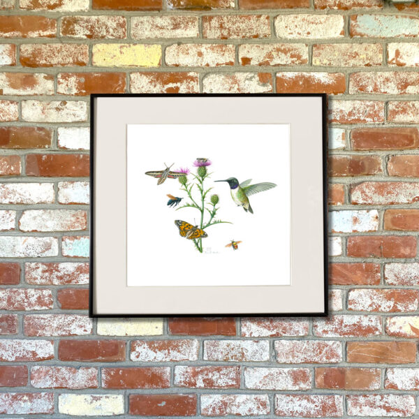 Wheeler's Thistle and Pollinators Giclée Fine Art Print featuring a thorny plant with wispy purple flowers surrounded by pollinators, such as butterflies, moths, birds, bees, and butterflies shown matted in a frame