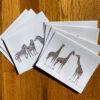 Species of Giraffes and Zebra Notecards, featuring three subspecies of giraffes and three species of zebras