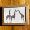 Species of Giraffes and Zebra Notecards, featuring three subspecies of giraffes