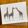 Three Subspecies of Giraffe Notecard