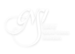 GNSI, Guild of Natural Science Illustrators Logo