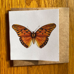 Gulf Fritillary Butterfly Gift Enclosure Notecard featuring an orange and black butterfly