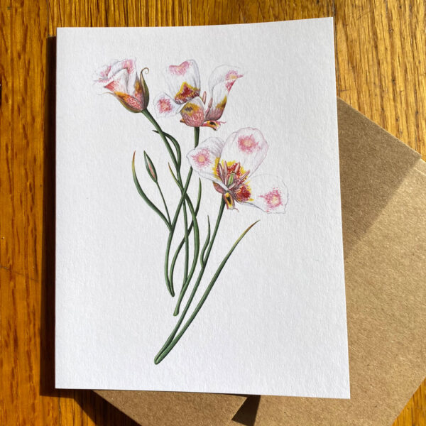 Butterfly Mariposa Lilies Notecard featuring three white lilies with splotches of pink and yellow