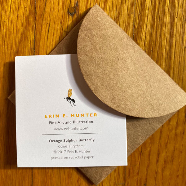 Back of Orange Sulphur Butterfly Gift Enclosure Notecard with Erin E Hunter logo and scientific name of featured species