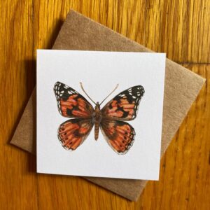 Painted Lady Butterfly Gift Enclosure Notecard featuring an orange and black butterfly