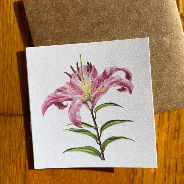 Pink Lily Gift Enclosure Notecard featuring one single pink lily