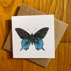 Pipevine Swallowtail Butterfly Gift Enclosure Notecard featuring a blue and black butterfly