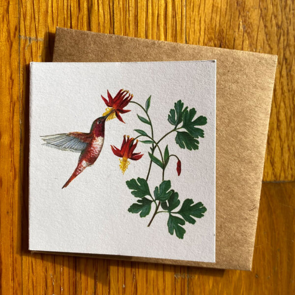 Rufous Hummingbird and Western Columbine Gift Enclosure Notecard featuring a red hummingbird pollinating two red flowers