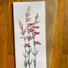 Scarlet Bugler Tall Notecard featuring tall stemmy plants with red tubular flowers