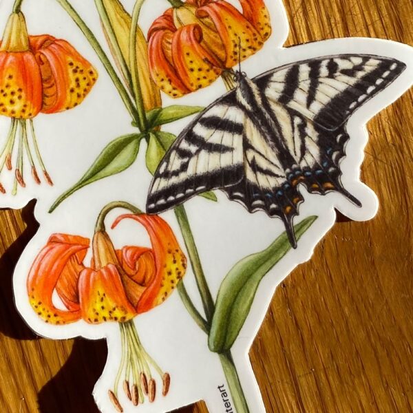 A zoomed in shot of California Wildflower Sticker Set, two stickers, one of a red hummingbird pollinating red flowers, and one of a black and white butterfly pollinating orange lilies