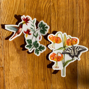 California Wildflower Sticker Set, two stickers, one of a red hummingbird pollinating red flowers, and one of a black and white butterfly pollinating orange lilies