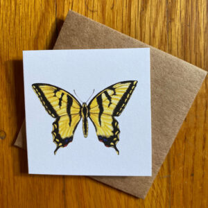 Western Tiger Swallowtail Butterfly Gift Enclosure Notecard featuring a yellow butterfly with black accents similar to tiger stripes