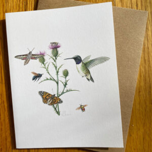 Wheeler's Thistle and Pollinators Notecard featuring a thistle bloom with several pollinators, including a bird, moth, bees, and a butterfly.