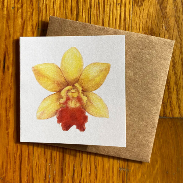 Yellow Orchid Gift Enclosure Notecard featuring a bright yellow/red orchid