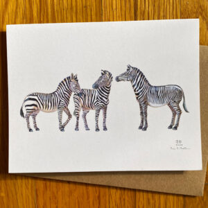 Three Species of Zebra Notecard featuring three different zebras interacting